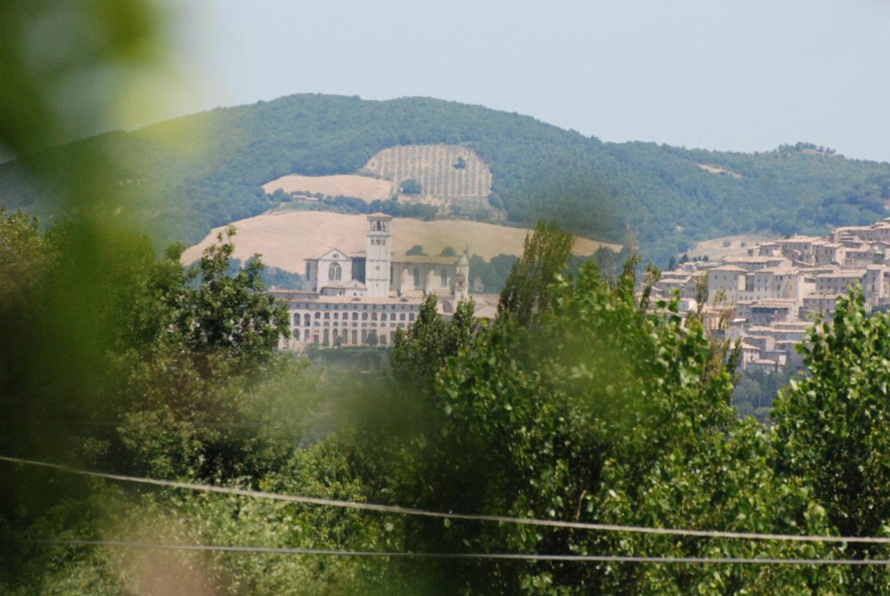 Agriturismo"Il Sagrato Di Assisi" Appartamenti,Camere 外观 照片