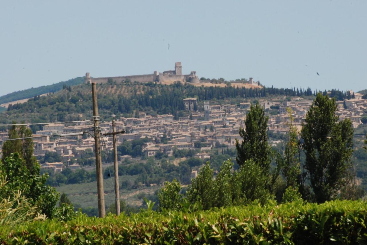 Agriturismo"Il Sagrato Di Assisi" Appartamenti,Camere 外观 照片