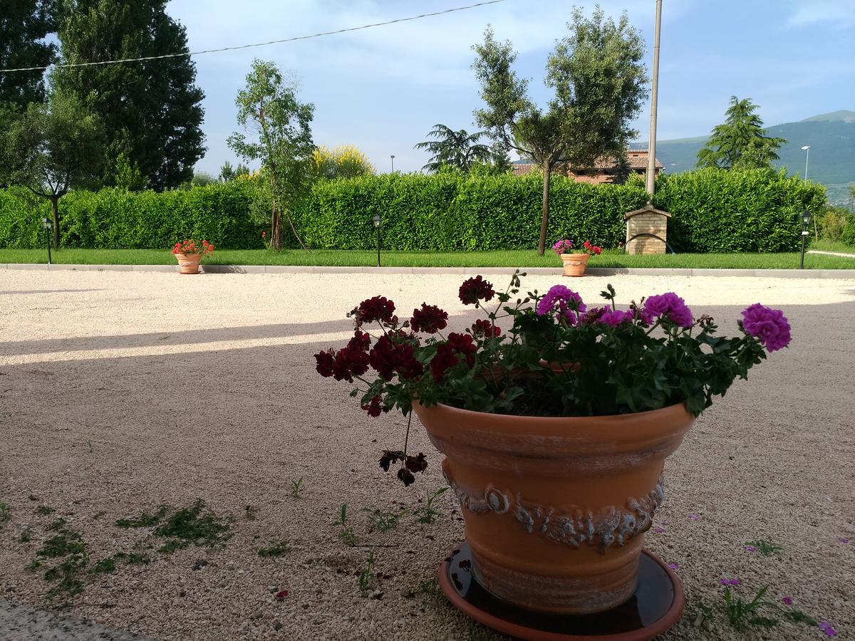 Agriturismo"Il Sagrato Di Assisi" Appartamenti,Camere 外观 照片