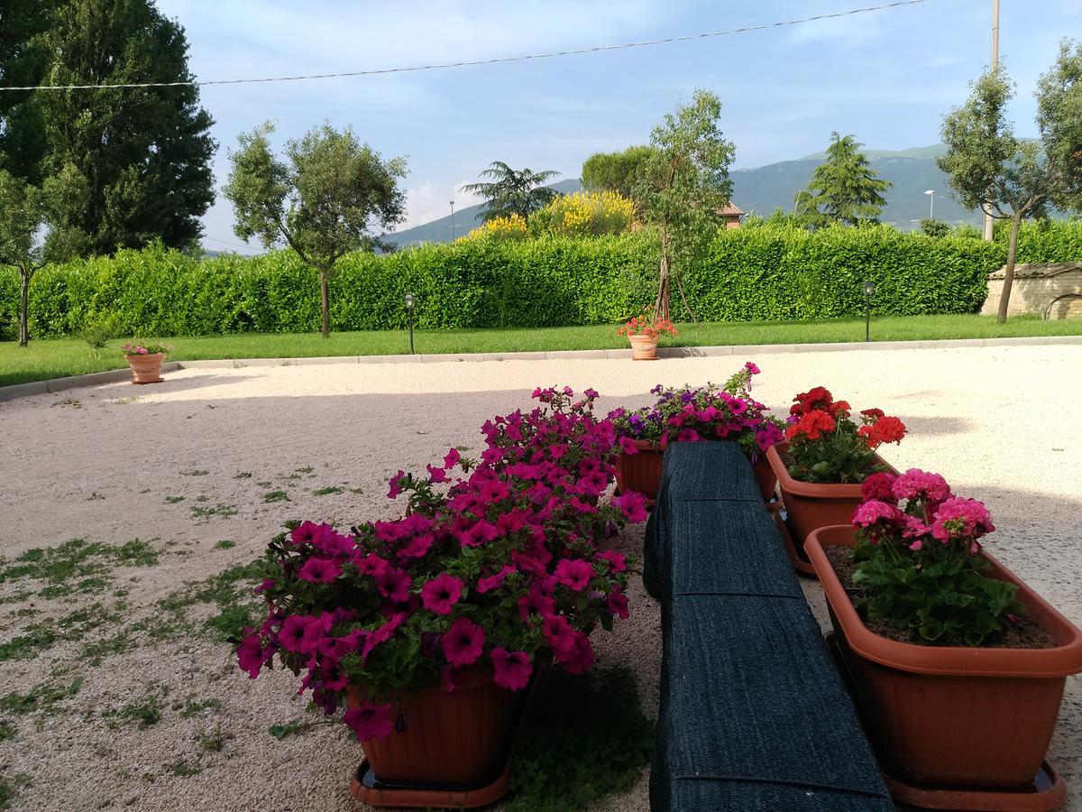 Agriturismo"Il Sagrato Di Assisi" Appartamenti,Camere 外观 照片