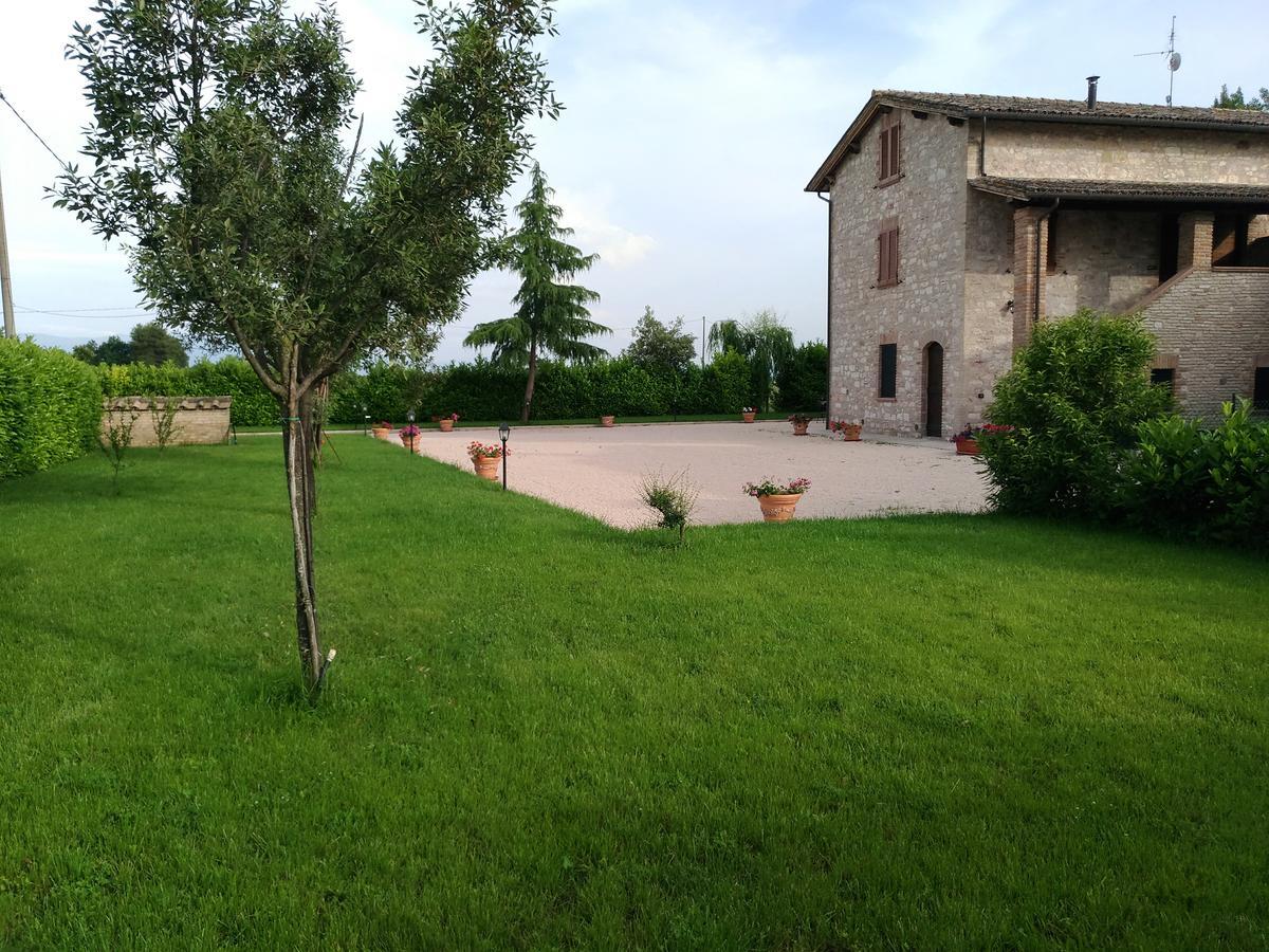 Agriturismo"Il Sagrato Di Assisi" Appartamenti,Camere 外观 照片