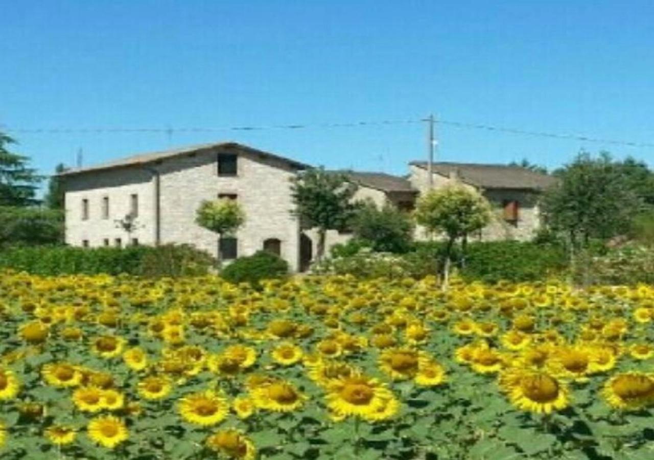 Agriturismo"Il Sagrato Di Assisi" Appartamenti,Camere 外观 照片